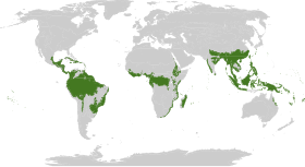 Distribuci�n geogr�fica de los bosques lluviosos tropicales y subtropicales