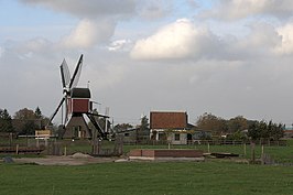 De Doesmolen met op de voorgrond de veldmuren voor de voormalige Kalkmolen