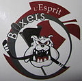 Logo de l'Esprit Boxers de 2006 à 2016