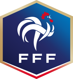 Image illustrative de l’article Fédération française de football