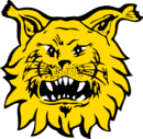 Logo du Ilves