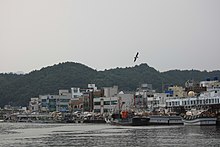 강구항1.JPG