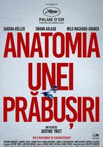 Anatomia unei prăbușiri