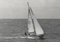 Bacardi through the years - Sydney Hobart Yacht race 1984