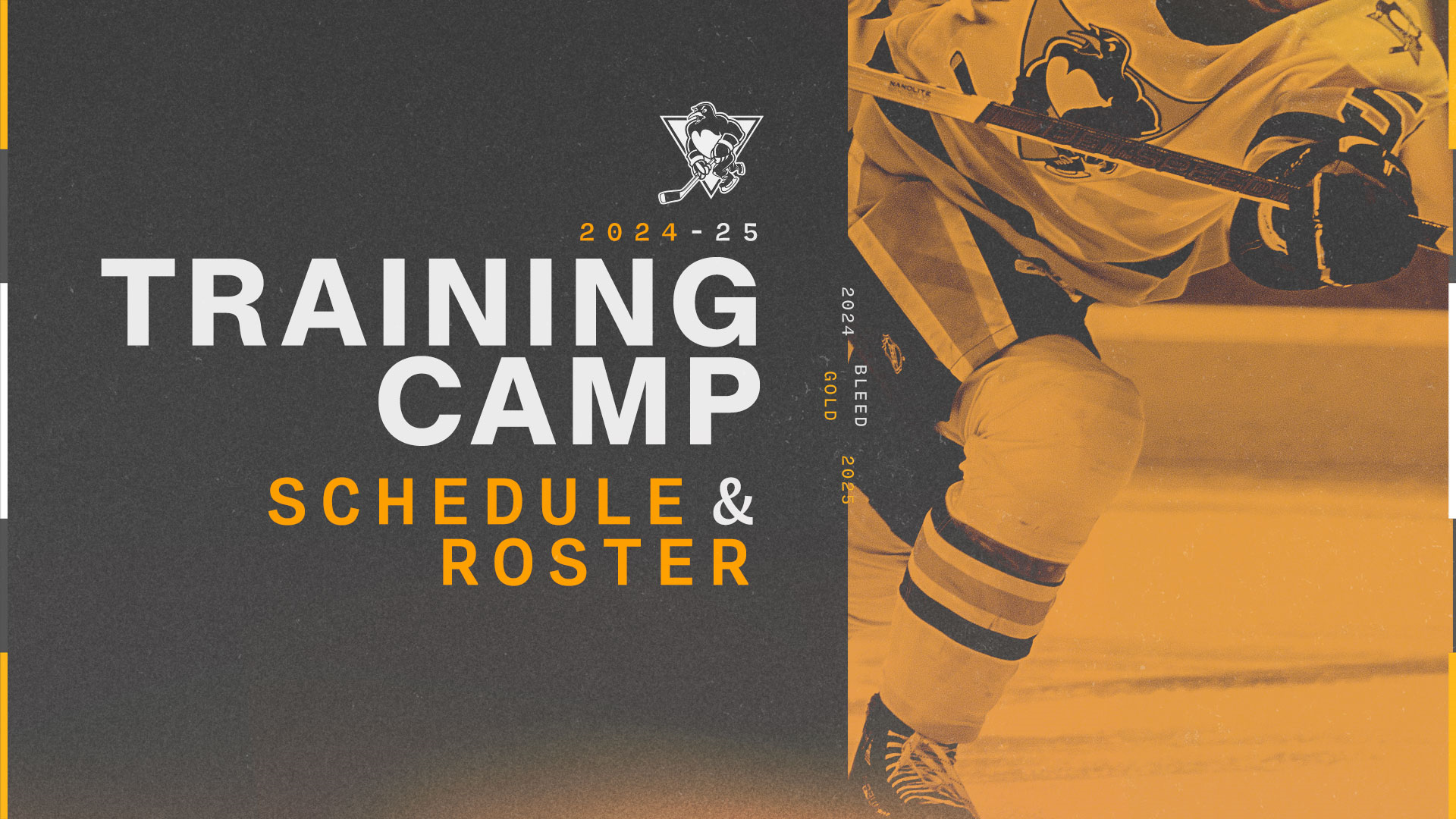 Training Camp web